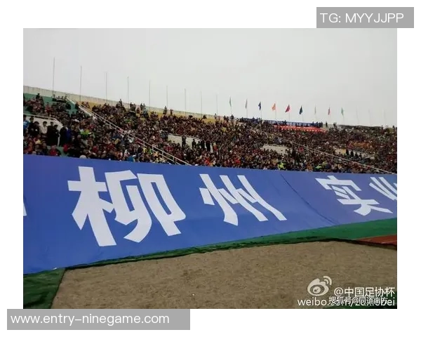 足协征集足协杯资格赛承办地要求赛区提供至少六块比赛场地